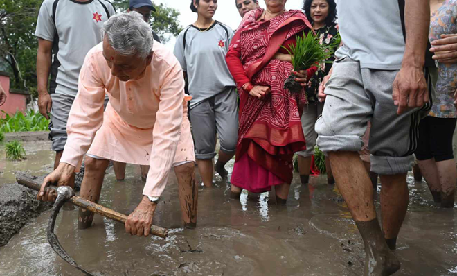 Image of https://mayorsap.com/storage/photos/10/ramchandra paudel khet.PNG